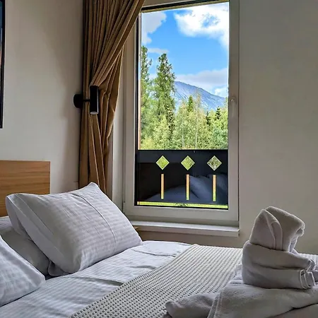Forest & Mountain View Gerlachov, *